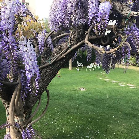 ألبينغا Villa Marlene B&B المظهر الخارجي الصورة