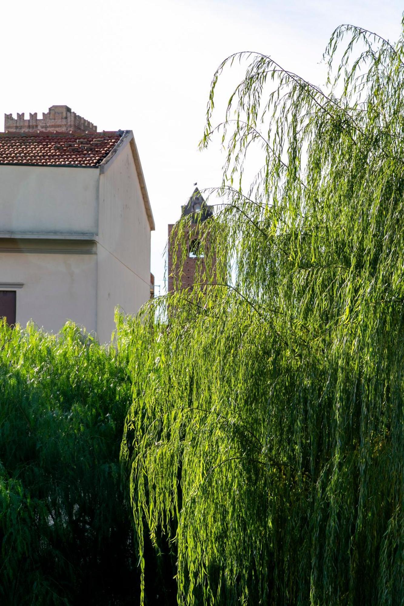 ألبينغا Villa Marlene B&B المظهر الخارجي الصورة